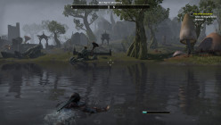 The Elder Scrolls Online Walkthrough - Narsis: The Llodos Plague, For Their Own Protection