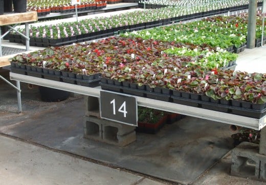 Helpful "aisle" type numbers for the plant tables.