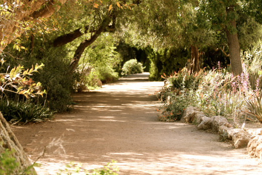 Although in a desert, many of the trails offer ample shade.