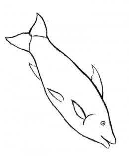 How to draw simple fish 