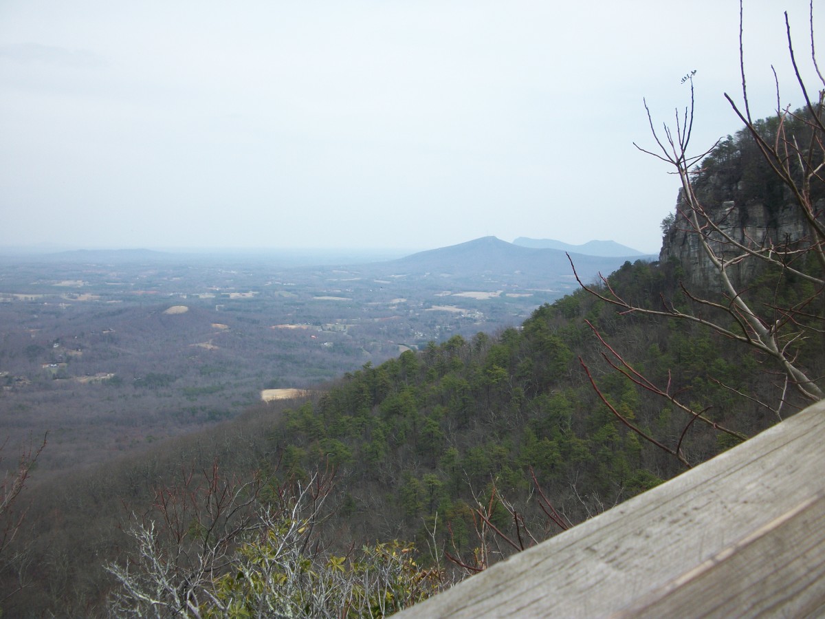View from the Little Pinnacle Overlook