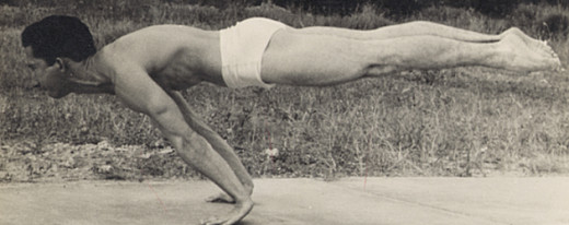 The Planche Pushup Hold