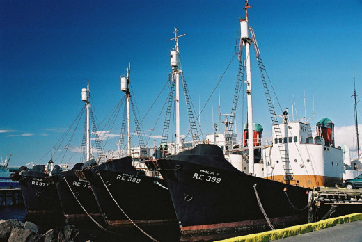 Whaling boats in Reykjavík, Iceland