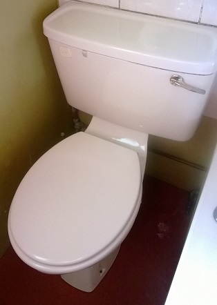 A toilet. My toilet. Not a moon toilet. An ordinary toilet.