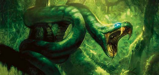 Rattlesnakes keep opponents at an arm's length