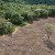 Images of deforestation Images of deforestation