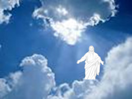 https://usercontent1.hubstatic.com/8899728_f260.jpg
