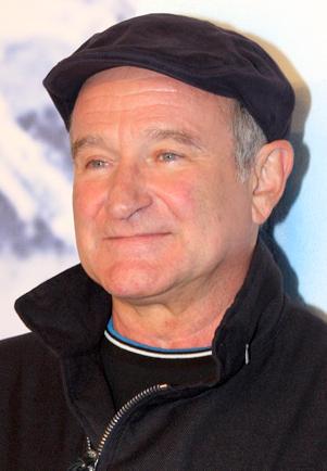 Robin Williams as Andrew Martin