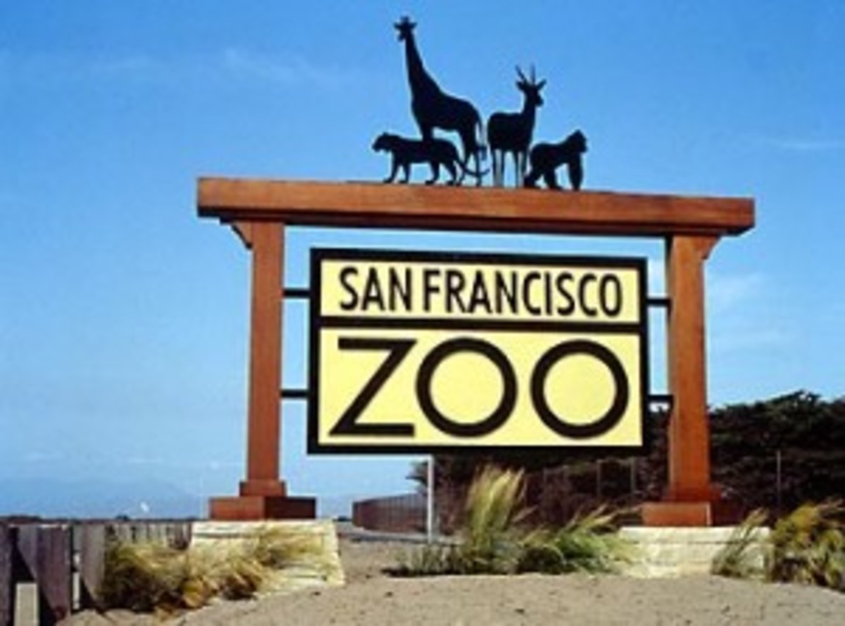 Famous Places of Interest in San Francisco | HubPages