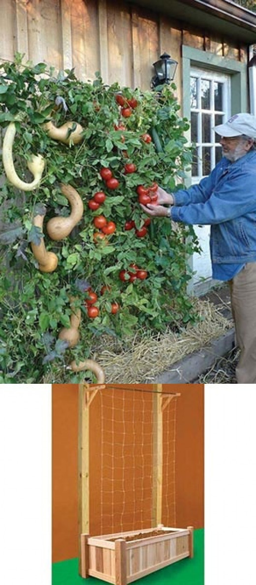 How To Build A Vertical Vegetable Garden