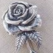 Silver Rose profile image