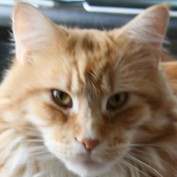 newsblaze profile image