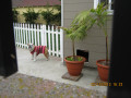 Puppy Love at Urban Dog Playcare