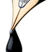 reality tv profile image