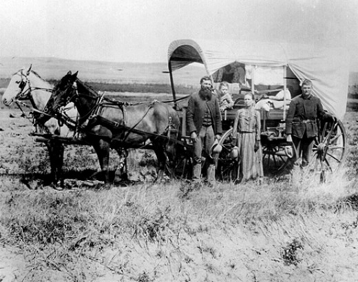 An 1860's homesteading family