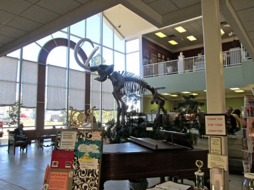 Giant Mammoth Bones in Fairview Museum Photo by REK