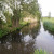 Typical Dutch ditches at level 'C', five meters below sea level