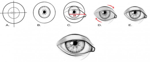 Portrait Drawing for the Ultimate Beginner: The Eyes | hubpages