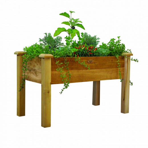 Elevated Garden Bed: Such a device helps to save water and prevent runoff.