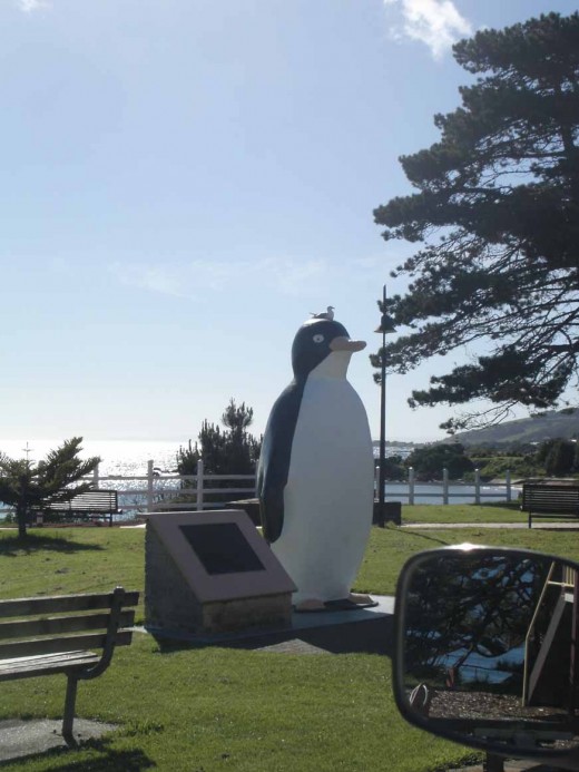 Penguin at Penguin with seagull for scale