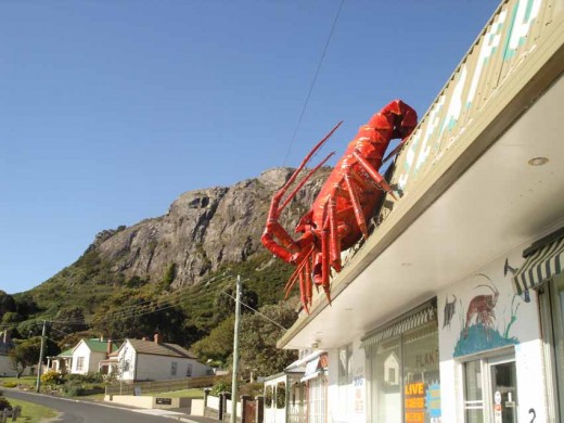 Big Lobster in the shadow of the Nut