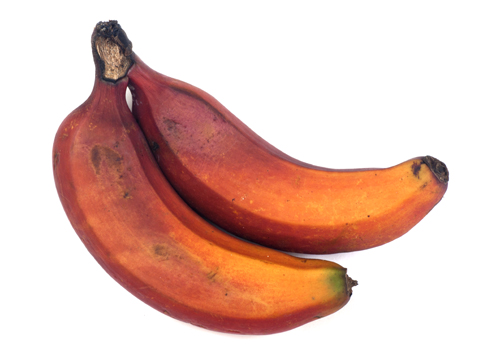 Red Caribe Bananas