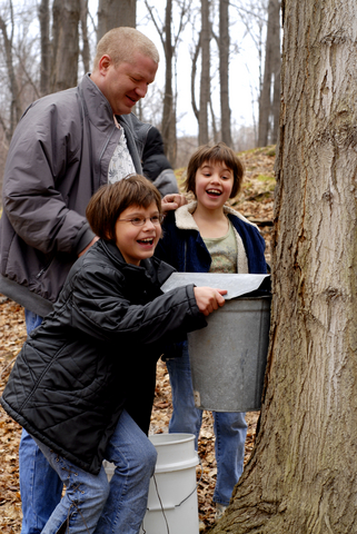 Maple sugaring time is often a family activity.