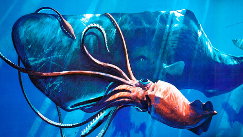 The Giant Squid in an epic battle against a sperm whale