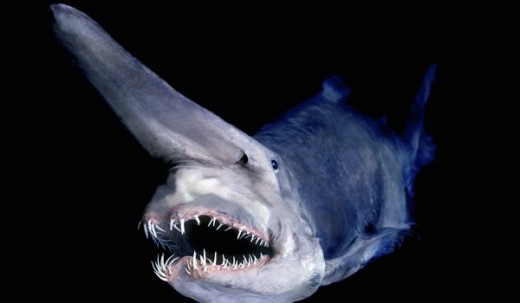Smile for the camera!