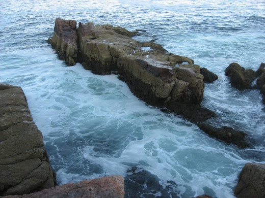 The distinct piece of Rocky Shore that draws artists to Maine 