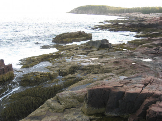 Acadia National Park: A piece of coast off of the Park loop road