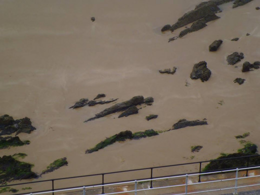 Sand and seaweed.