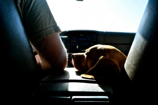 So, we forgot the camera in the hotel room while at Hershey.  Instead, here is a picture my wife took of me and my co-pilot.  My wife sat in the back with our son, so the Beagle got to ride shotgun.