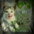 Have you ever wondered why your kitten licks you? Have you ever wondered why your kitten licks you?