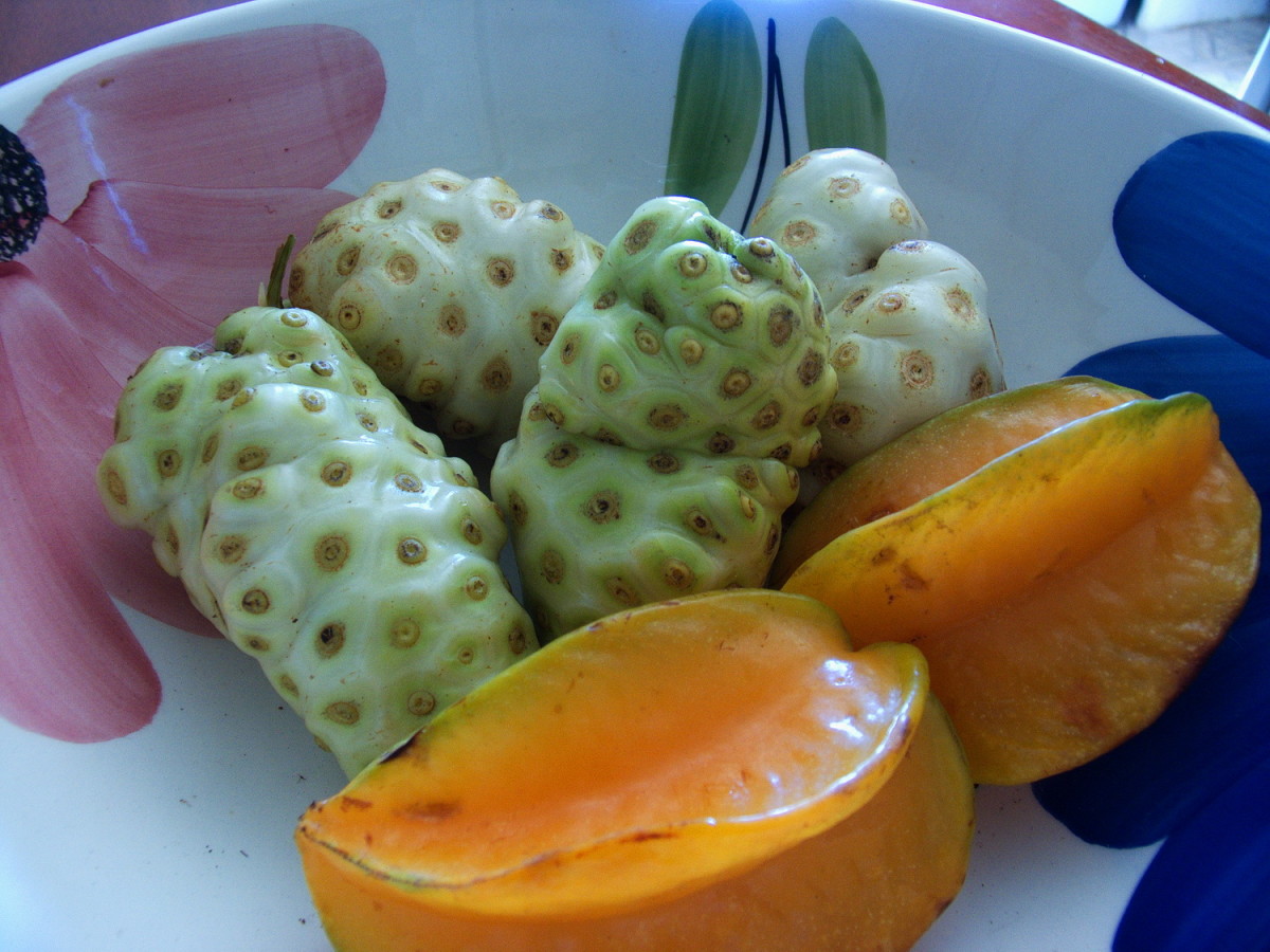 Fruit bowl with Noni fruit and carambola (star fruit)