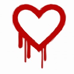 Widespread Heartbleed Bug Exposes Passwords