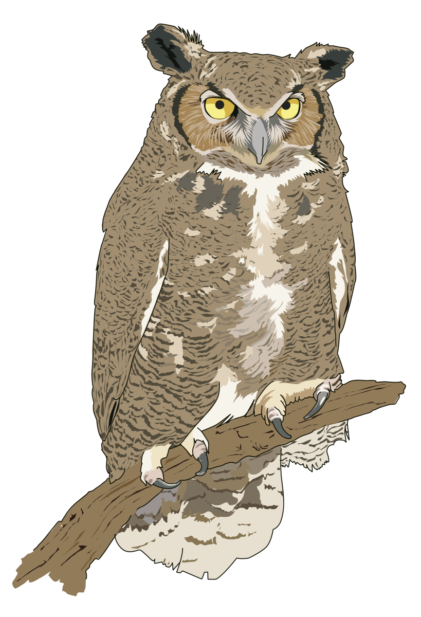 eagle owl clip art - photo #1