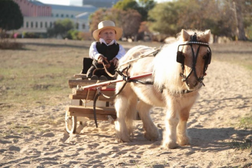 The Amish don't suffer from cancer and MS like the general population does. Could UV benefits have something to do with it?