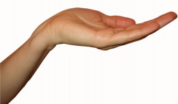 https://usercontent1.hubstatic.com/8956104_f260.jpg