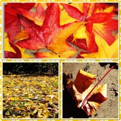 Mabon Celebrations & Mabon Recipes