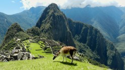 Peruvian Serendipity: Cuzco and the Inca Trail Hike to Machu Picchu