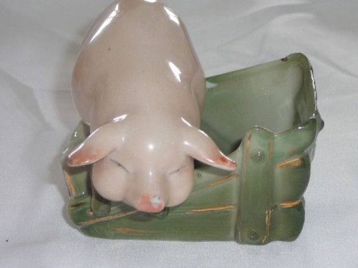 Standing in sty hanging over the fence. 3 1/2" x 3". Paid $25. Rare.