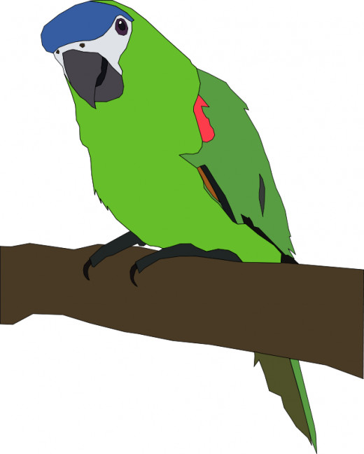 green parrot clipart