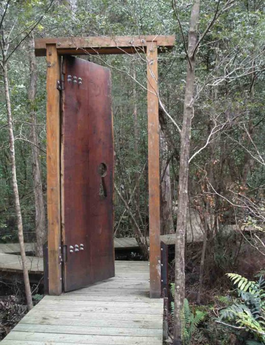 Big Doorway to nowhere in Dismal Swamp