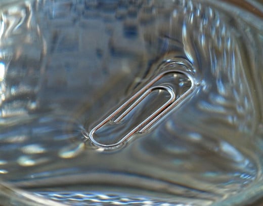 Surface tension preventing a paper clip from sinking.