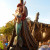 Magic Kingdom Magic Kingdom