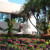 EPCOT EPCOT