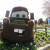 Tow mater EPCOT Tow mater EPCOT