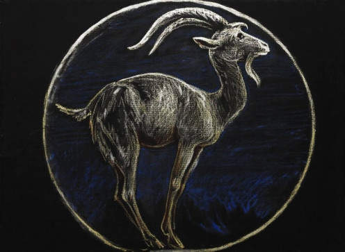 Capricorn