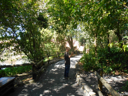 Tome Sawyer's Island in Magic Kingdom Tome Sawyer's Island in Magic Kingdom